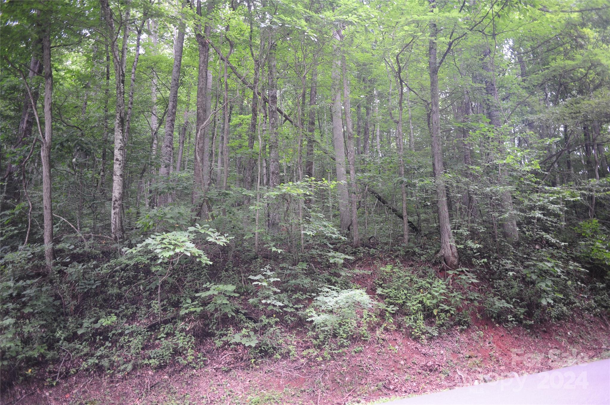 132 Ironwood Lane Black Mountain NC 28711