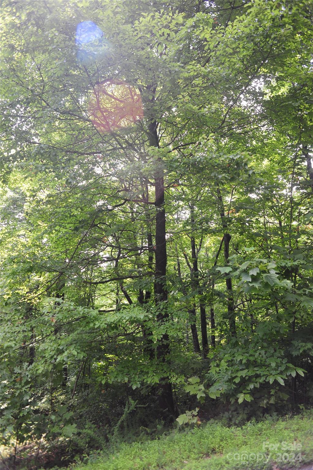 132 Ironwood Lane Black Mountain NC 28711