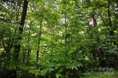 132 Ironwood Lane Black Mountain NC 28711