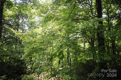 132 Ironwood Lane Black Mountain NC 28711