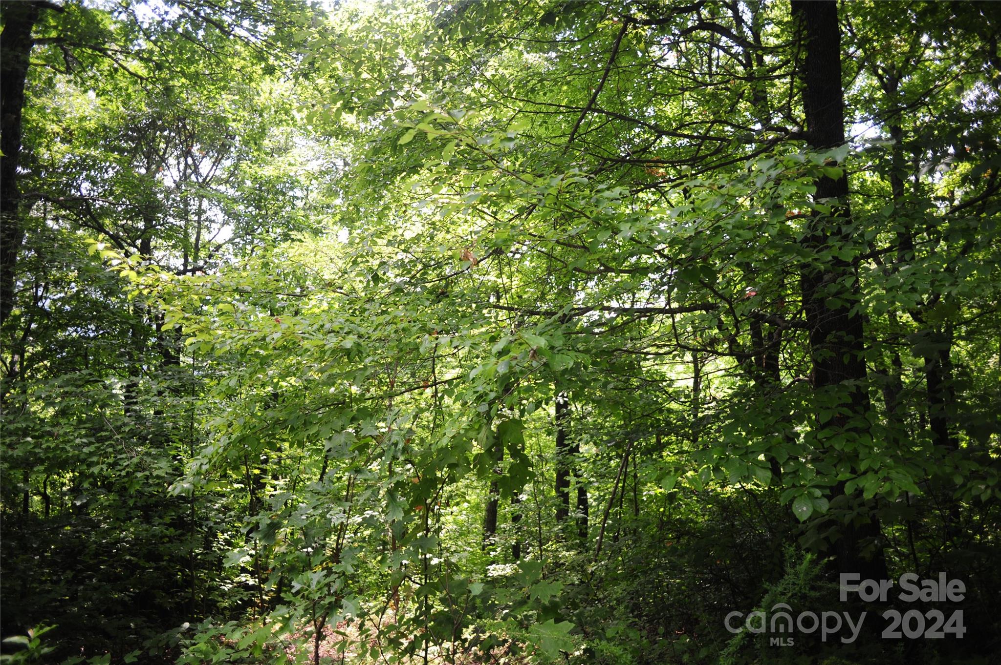 132 Ironwood Lane Black Mountain NC 28711