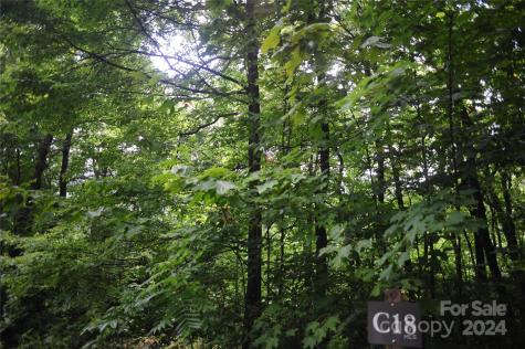 132 Ironwood Lane Black Mountain NC 28711