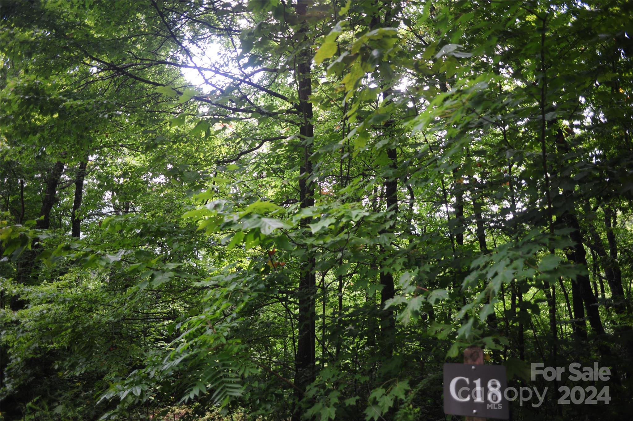132 Ironwood Lane Black Mountain NC 28711