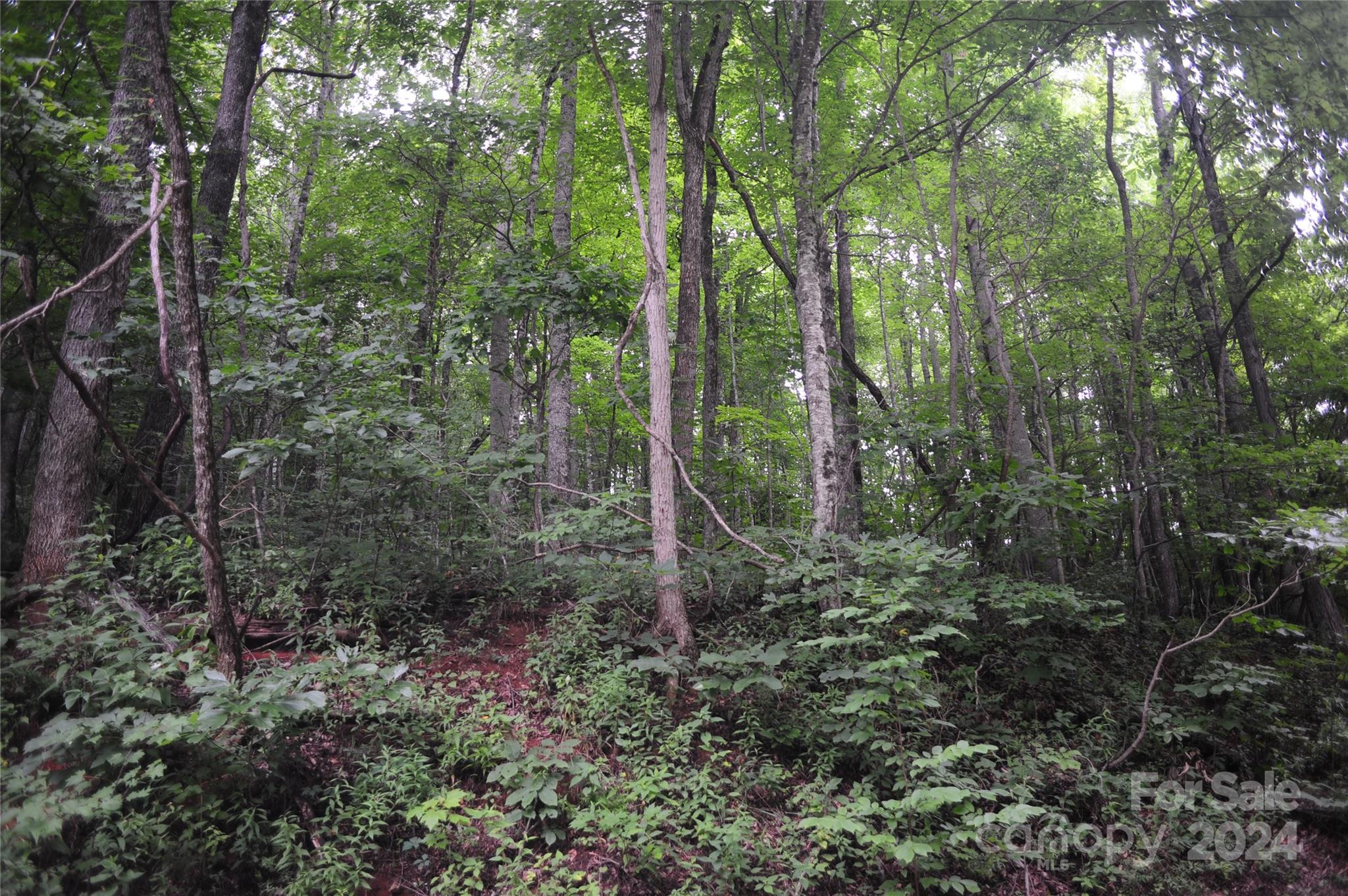 132 Ironwood Lane Black Mountain NC 28711