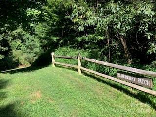 132 Ironwood Lane Black Mountain NC 28711