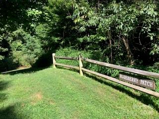 132 Ironwood Lane Black Mountain NC 28711
