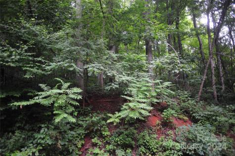 132 Ironwood Lane Black Mountain NC 28711