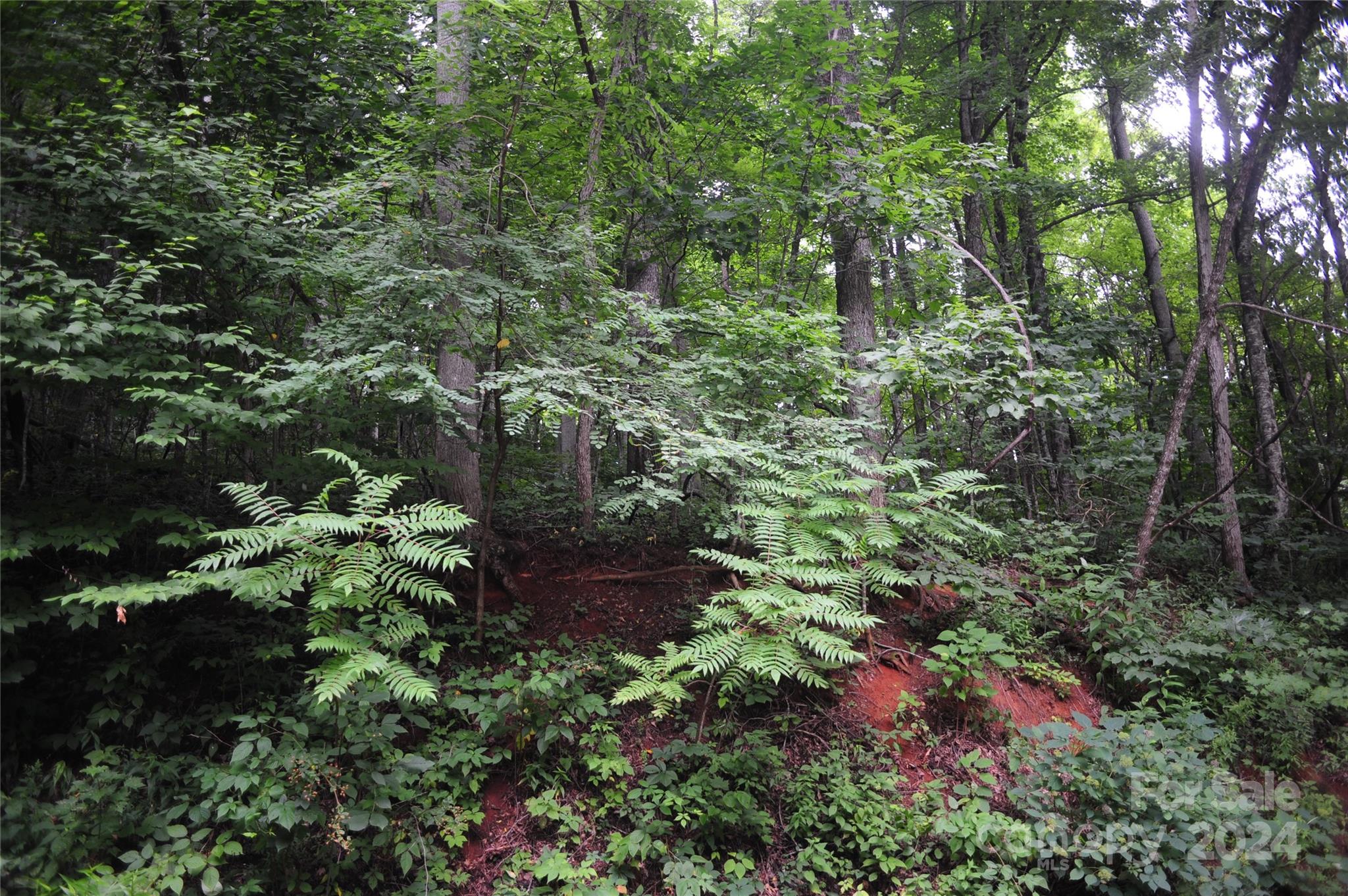 132 Ironwood Lane Black Mountain NC 28711