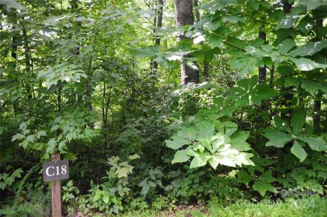 132 Ironwood Lane Black Mountain NC 28711