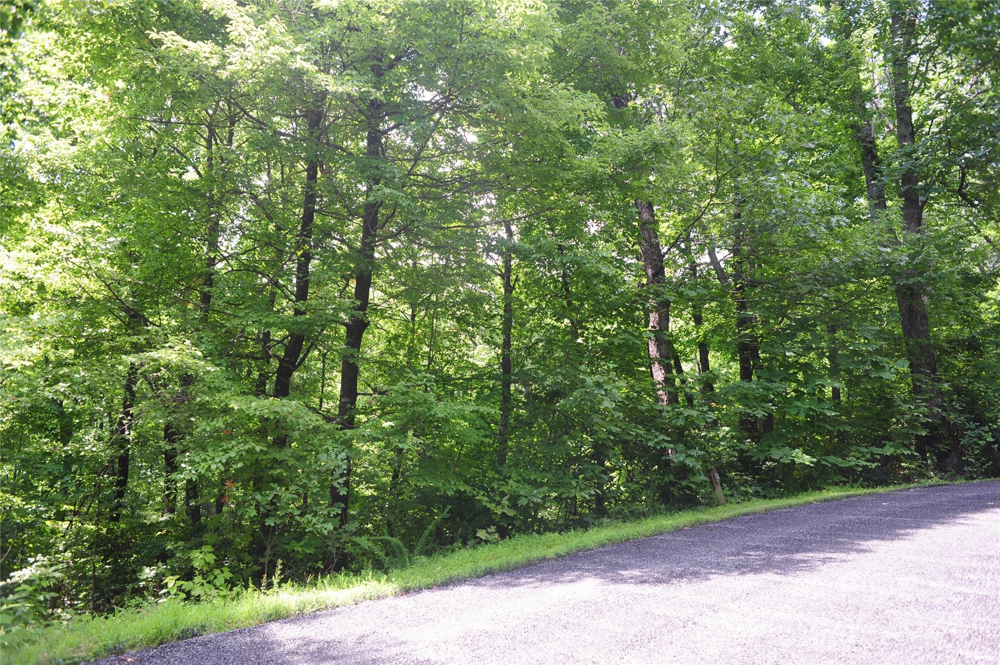 132 Ironwood Lane Black Mountain NC 28711