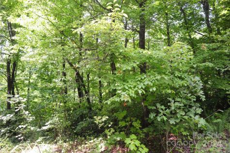 132 Ironwood Lane Black Mountain NC 28711