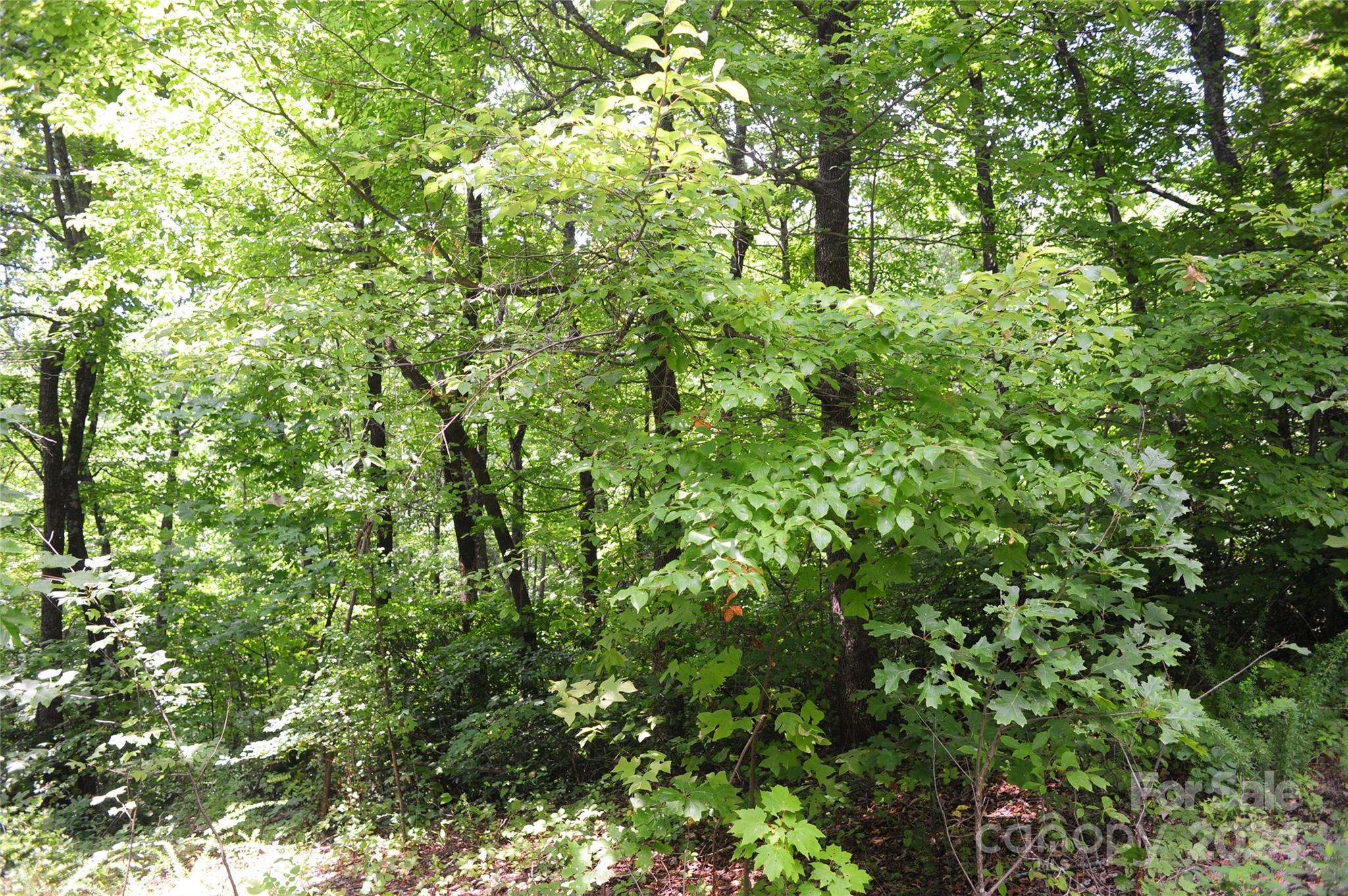 132 Ironwood Lane Black Mountain NC 28711
