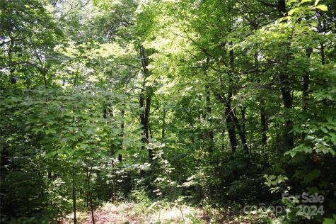132 Ironwood Lane Black Mountain NC 28711