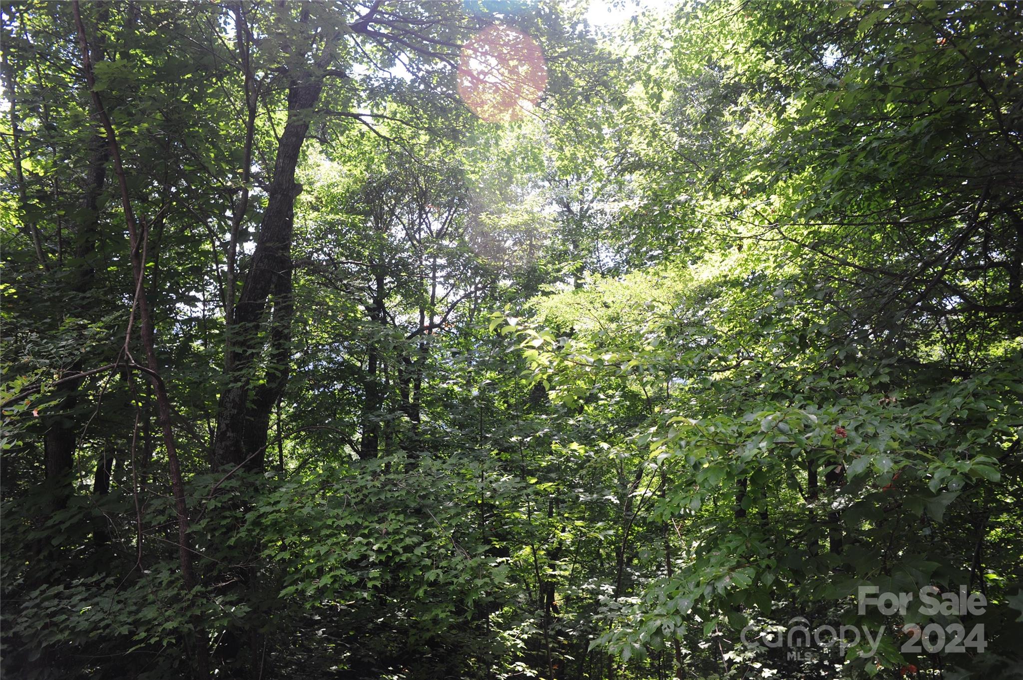 132 Ironwood Lane Black Mountain NC 28711