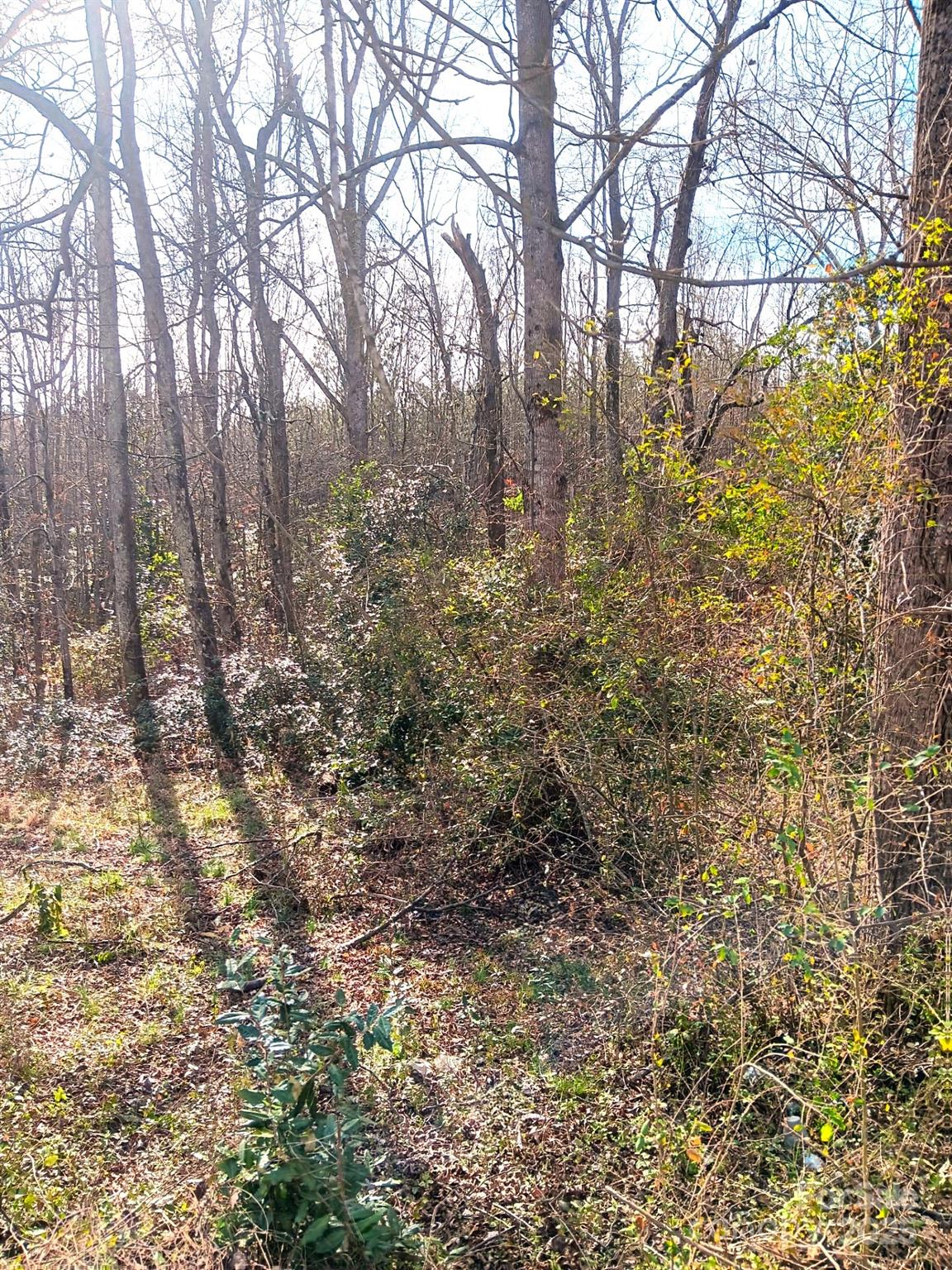 0000 Oak Street Shelby NC 28152