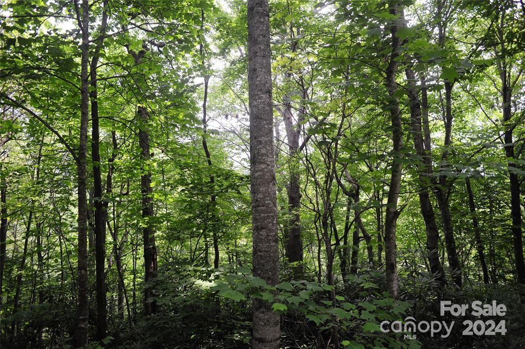 17 Wood Haven Lane Black Mountain NC 28711