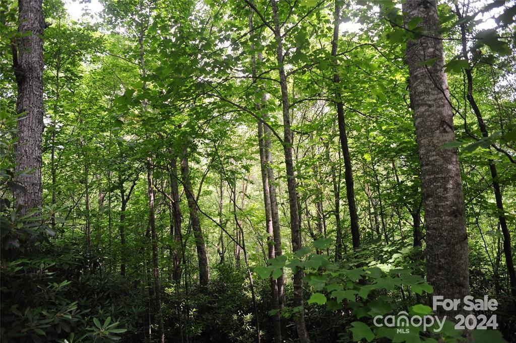 17 Wood Haven Lane Black Mountain NC 28711