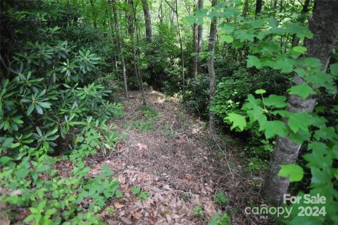 17 Wood Haven Lane Black Mountain NC 28711