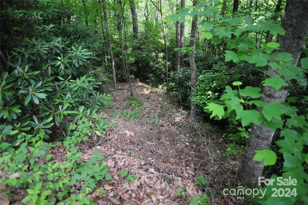 17 Wood Haven Lane Black Mountain NC 28711