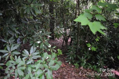 17 Wood Haven Lane Black Mountain NC 28711
