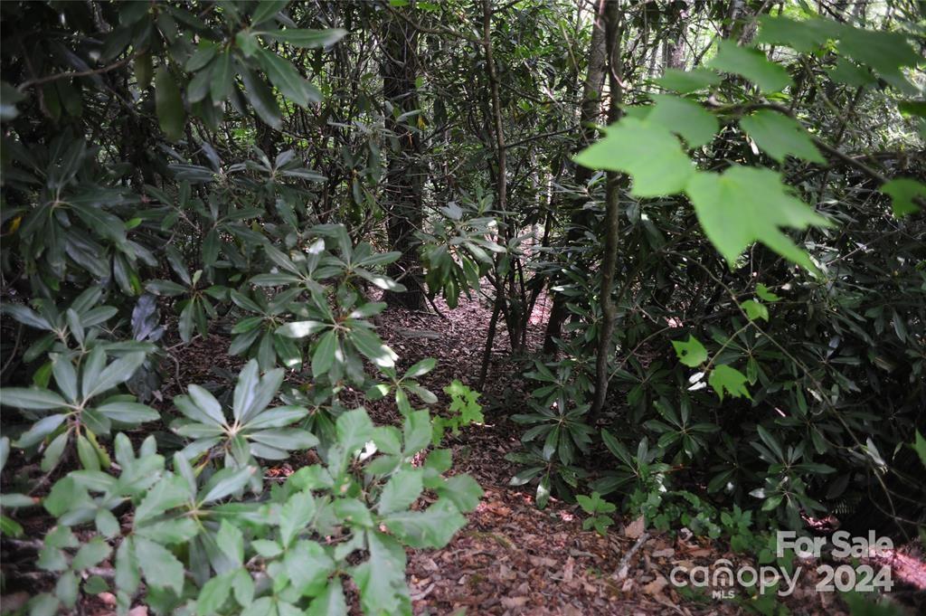 17 Wood Haven Lane Black Mountain NC 28711
