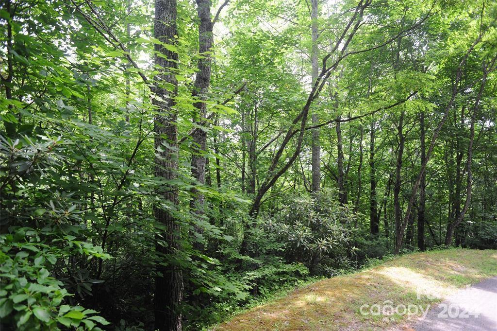17 Wood Haven Lane Black Mountain NC 28711