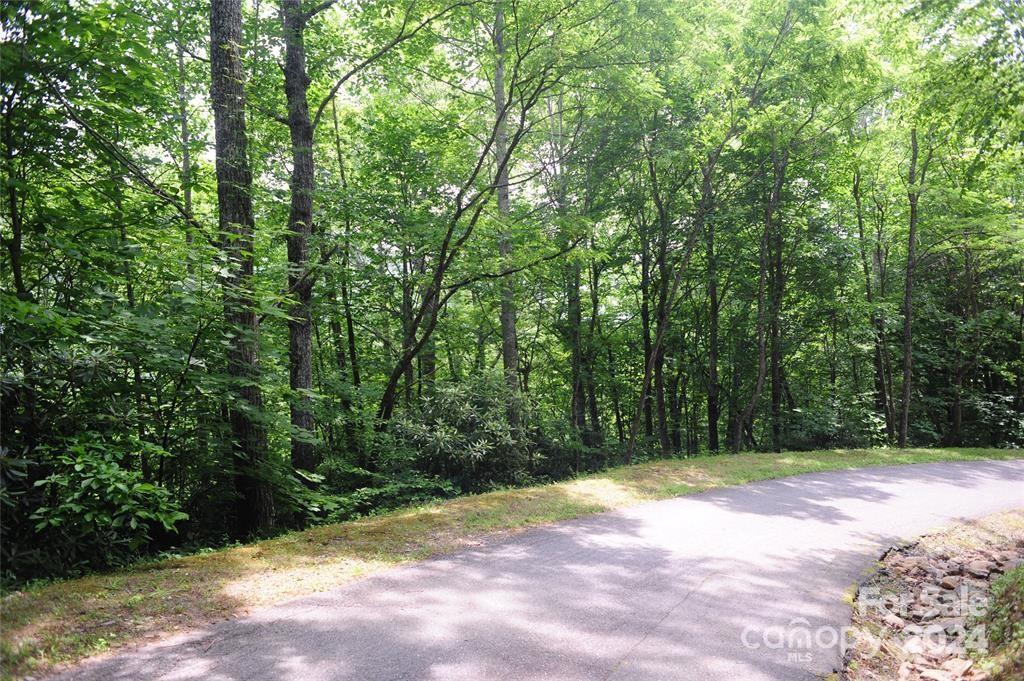 17 Wood Haven Lane Black Mountain NC 28711