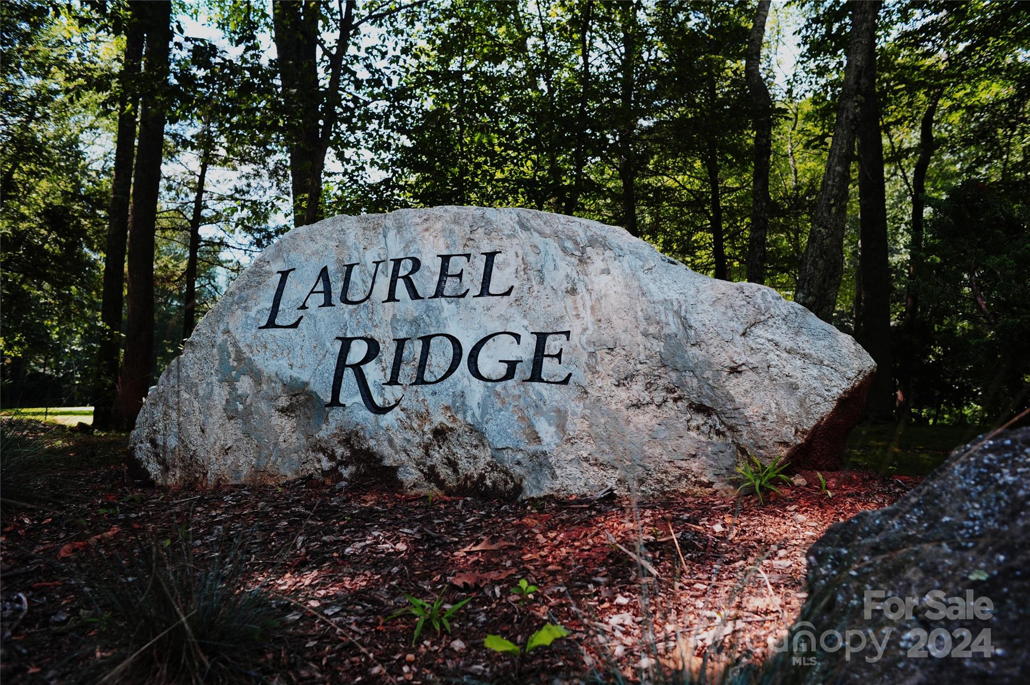 17 Wood Haven Lane Black Mountain NC 28711