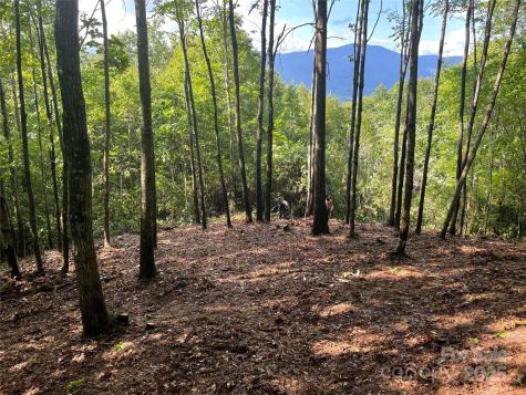 Lt 239 Down The Hill Road Sylva NC 28779