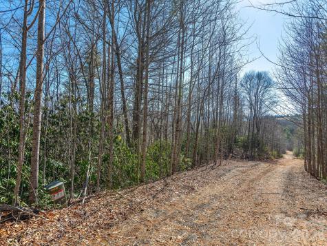 99999 Toe River Lane Newland NC 28657