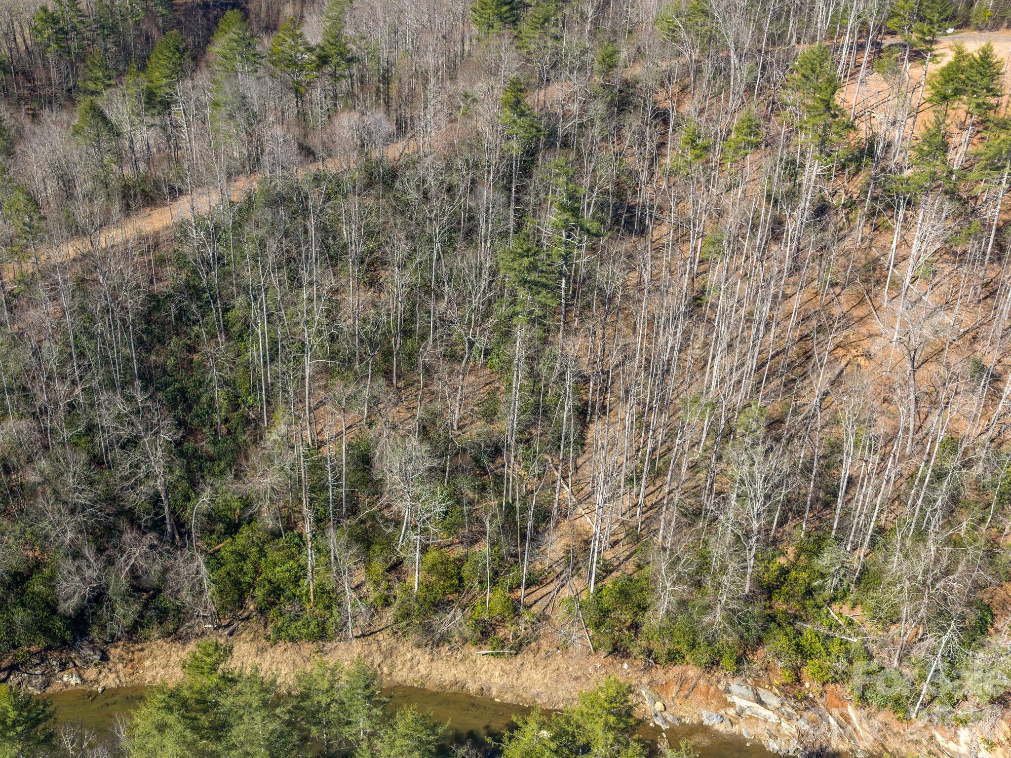 99999 Toe River Lane Newland NC 28657