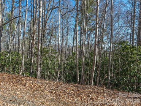 99999 Toe River Lane Newland NC 28657