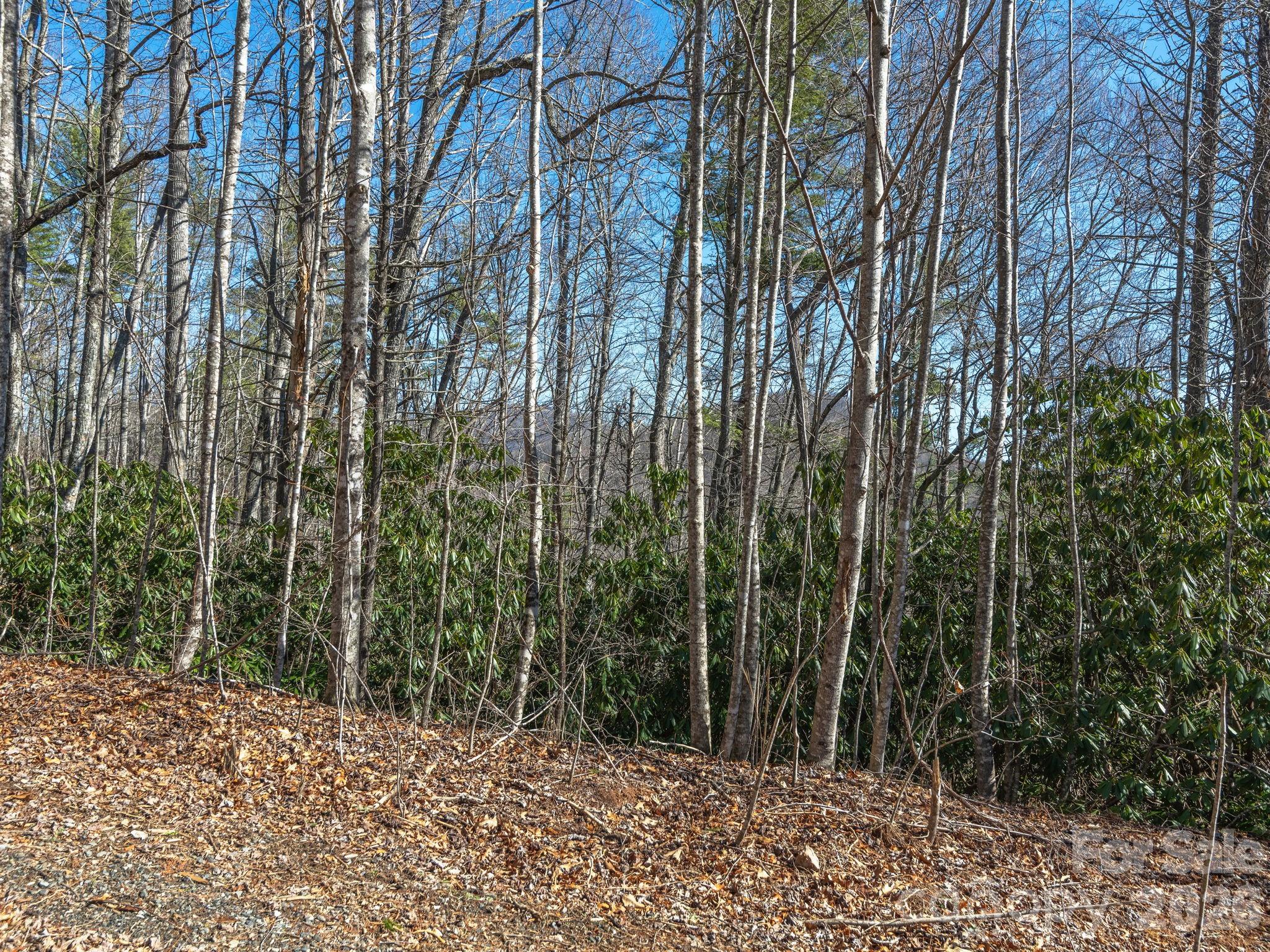99999 Toe River Lane Newland NC 28657