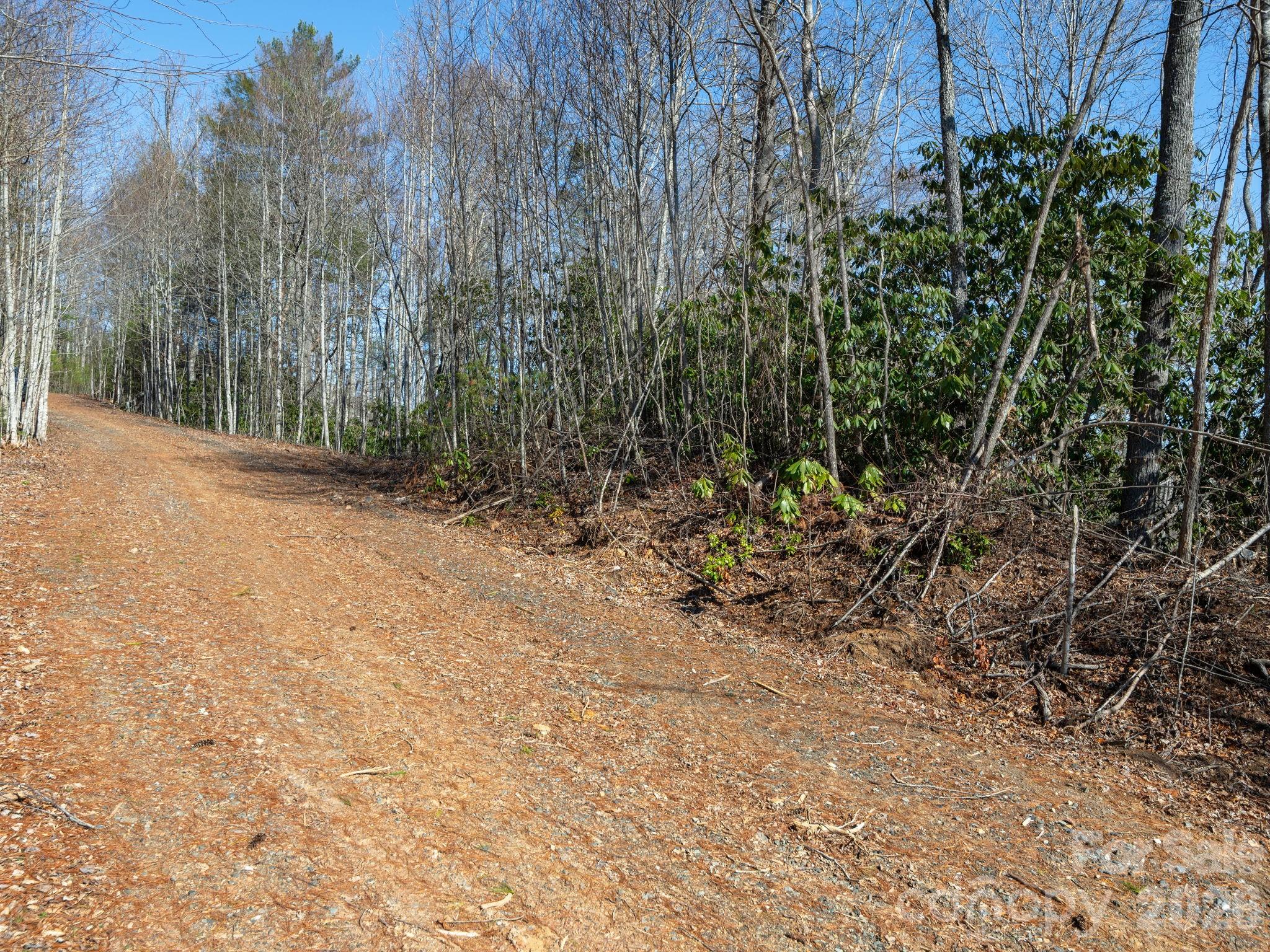 99999 Toe River Lane Newland NC 28657