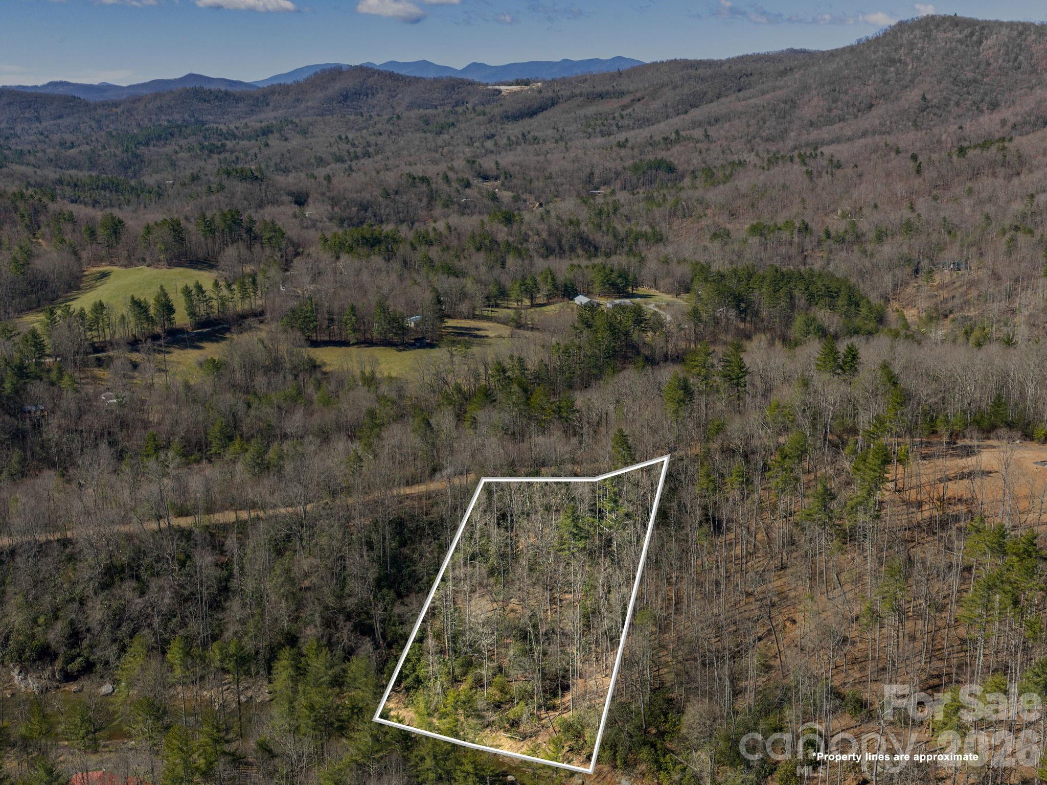 99999 Toe River Lane Newland NC 28657