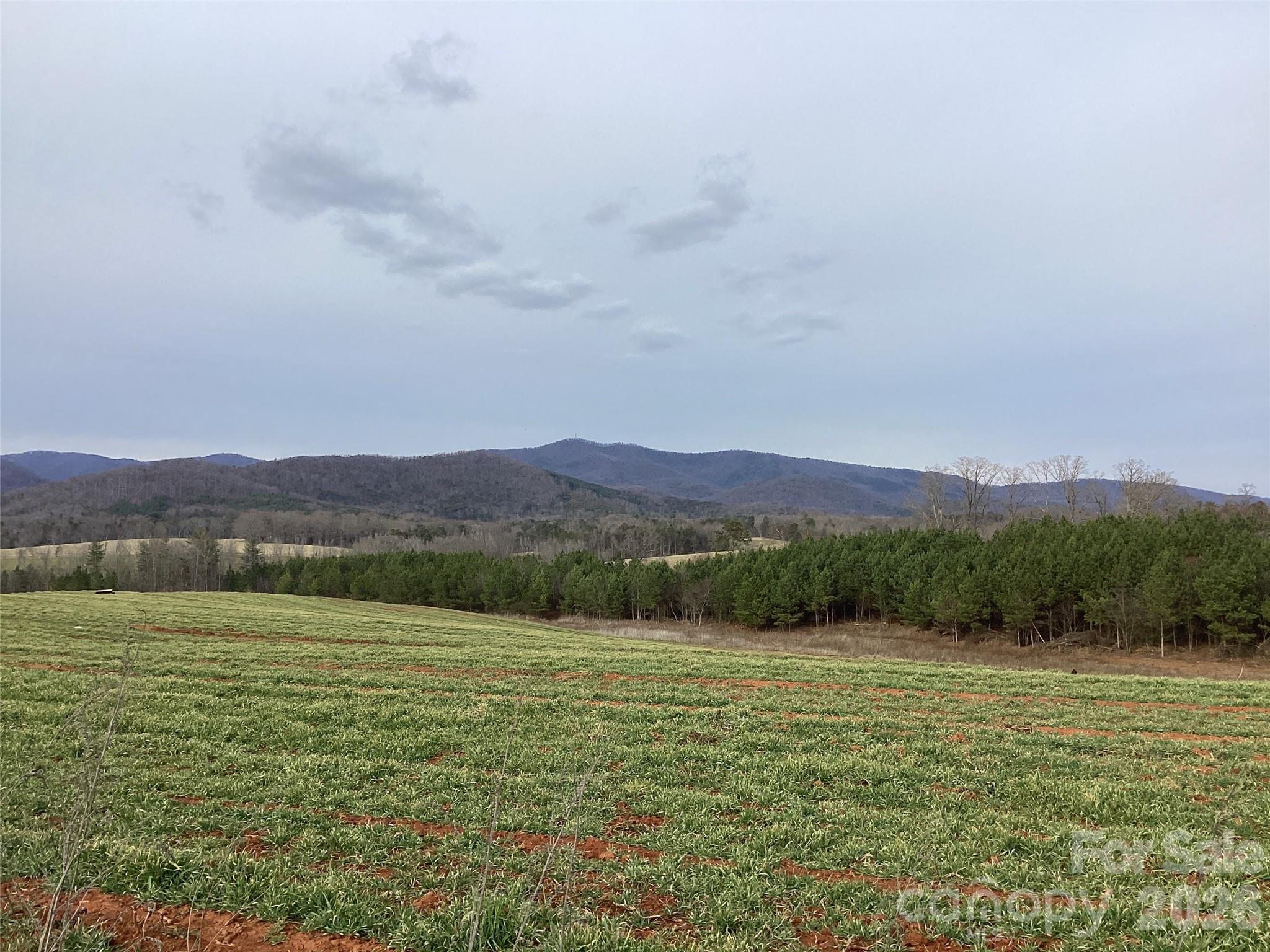 00 Moriah School Road Casar NC 28020