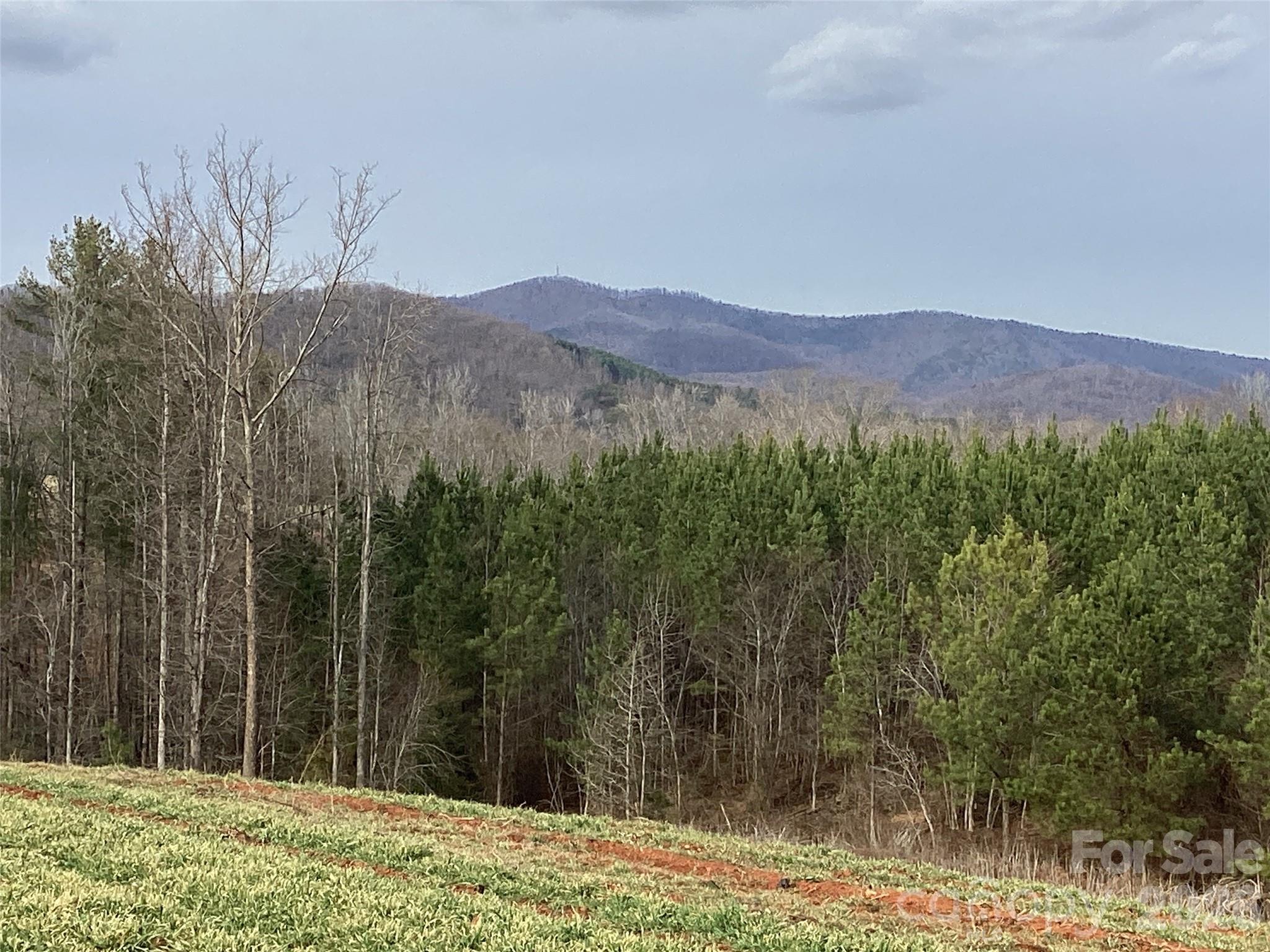00 Moriah School Road Casar NC 28020