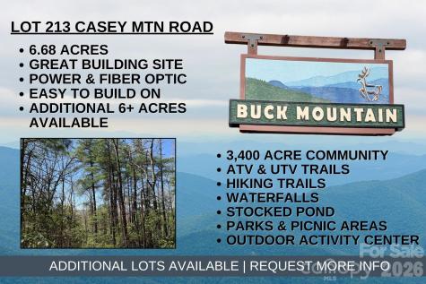 Tbd Casey Mountain Road Purlear NC 28665