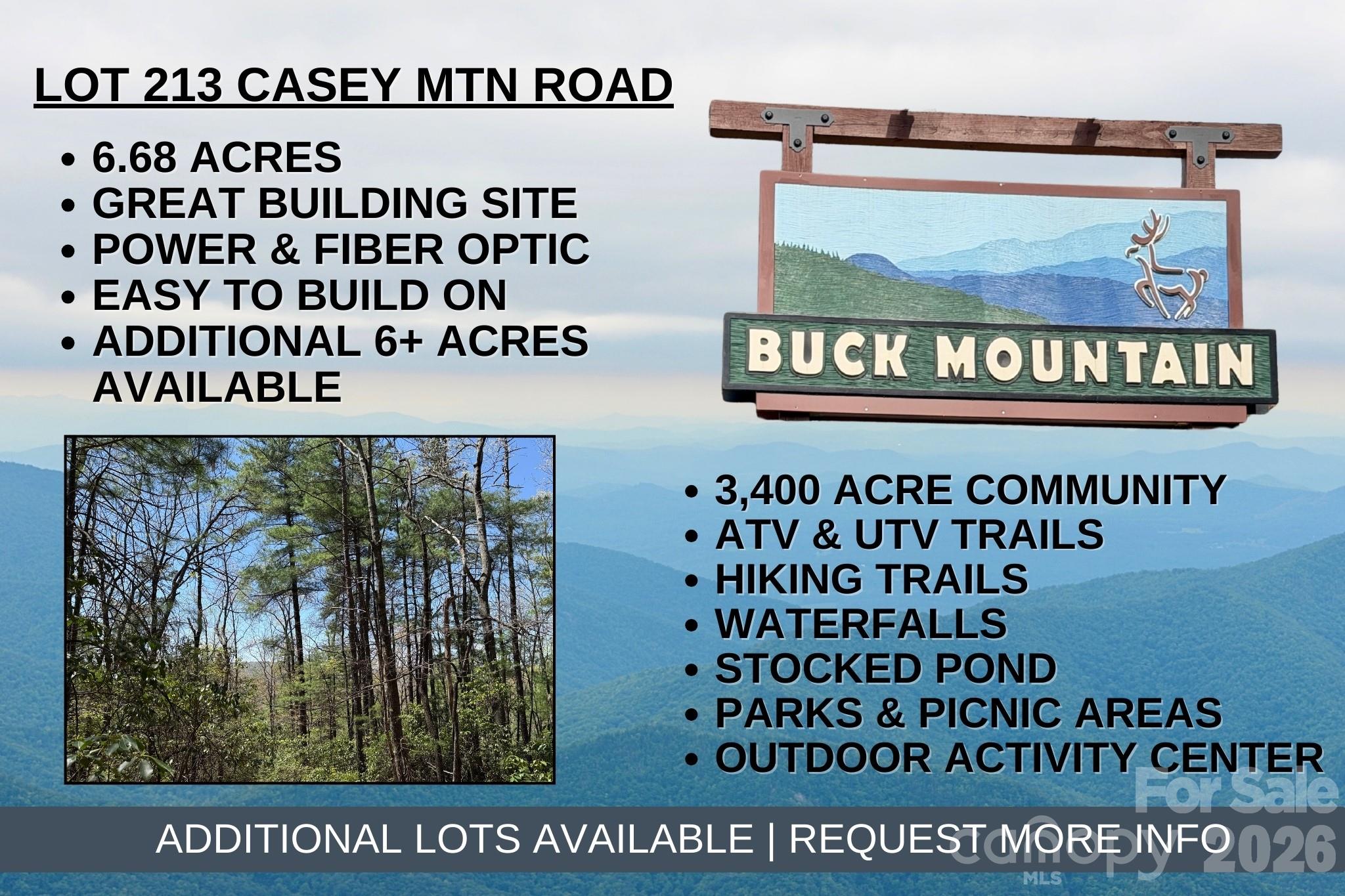 Tbd Casey Mountain Road Purlear NC 28665