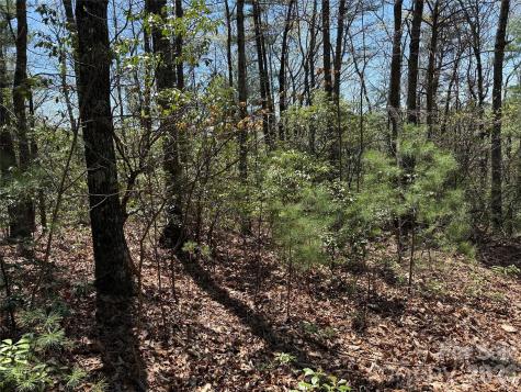 Tbd Casey Mountain Road Purlear NC 28665