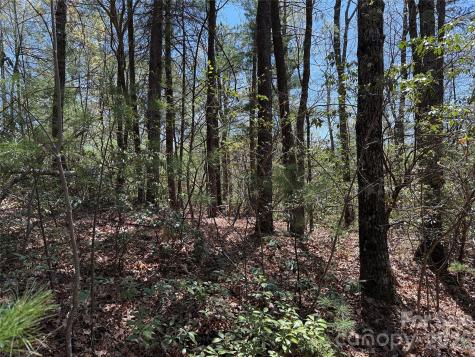 Tbd Casey Mountain Road Purlear NC 28665