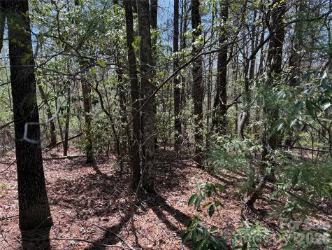 Tbd Casey Mountain Road Purlear NC 28665