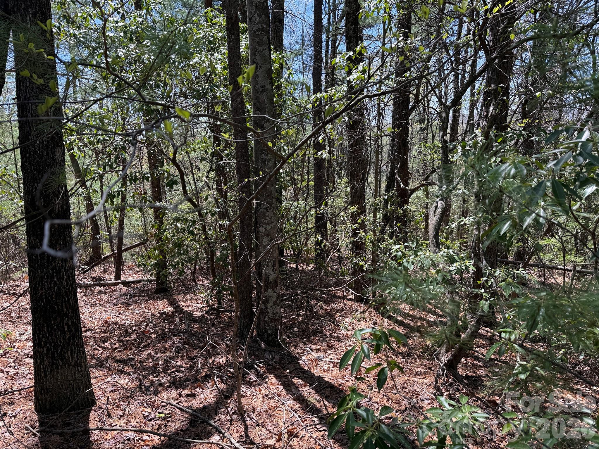 Tbd Casey Mountain Road Purlear NC 28665