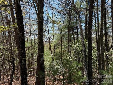 Tbd Casey Mountain Road Purlear NC 28665