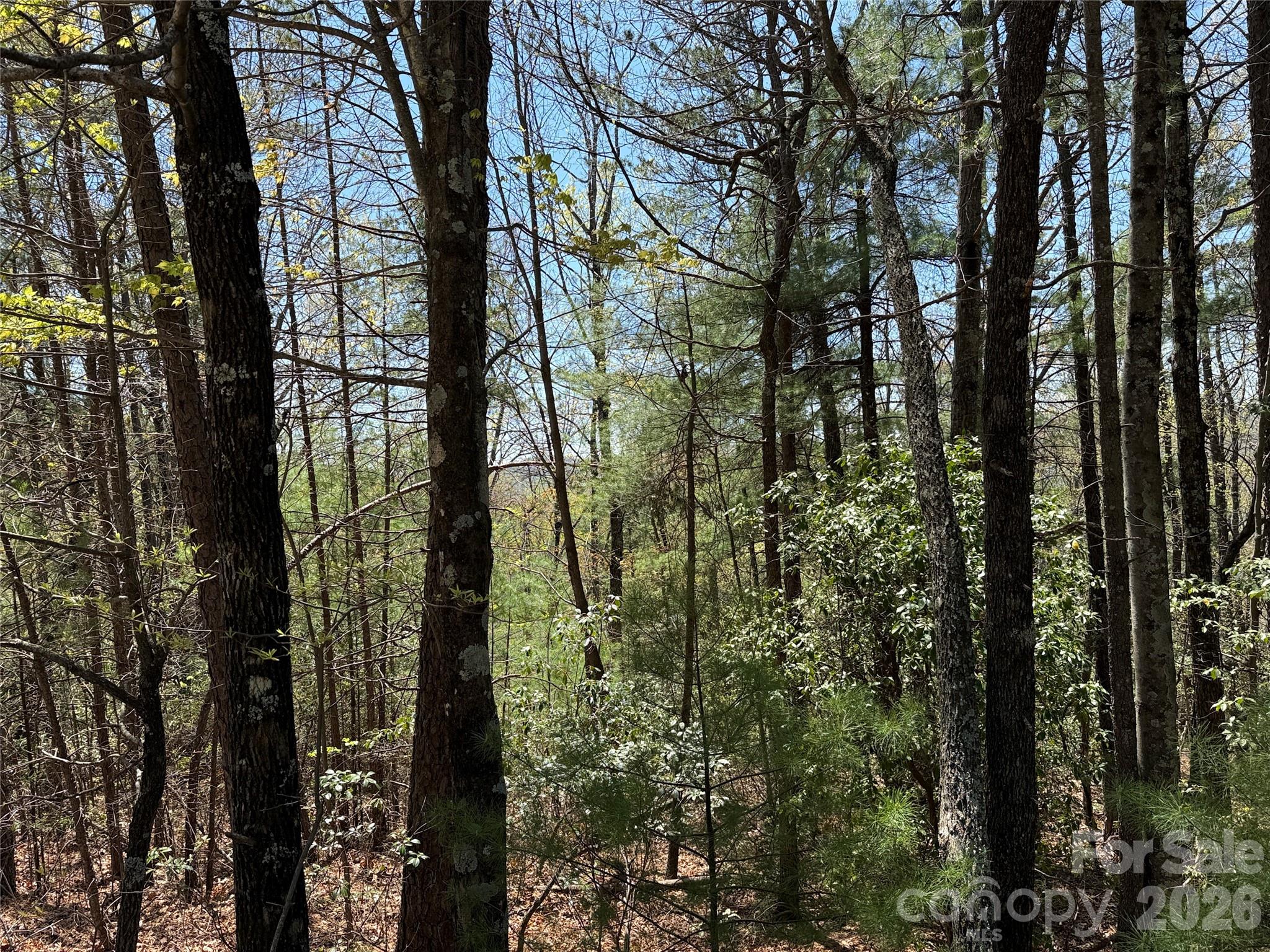 Tbd Casey Mountain Road Purlear NC 28665