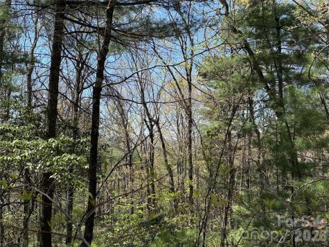 Tbd Casey Mountain Road Purlear NC 28665