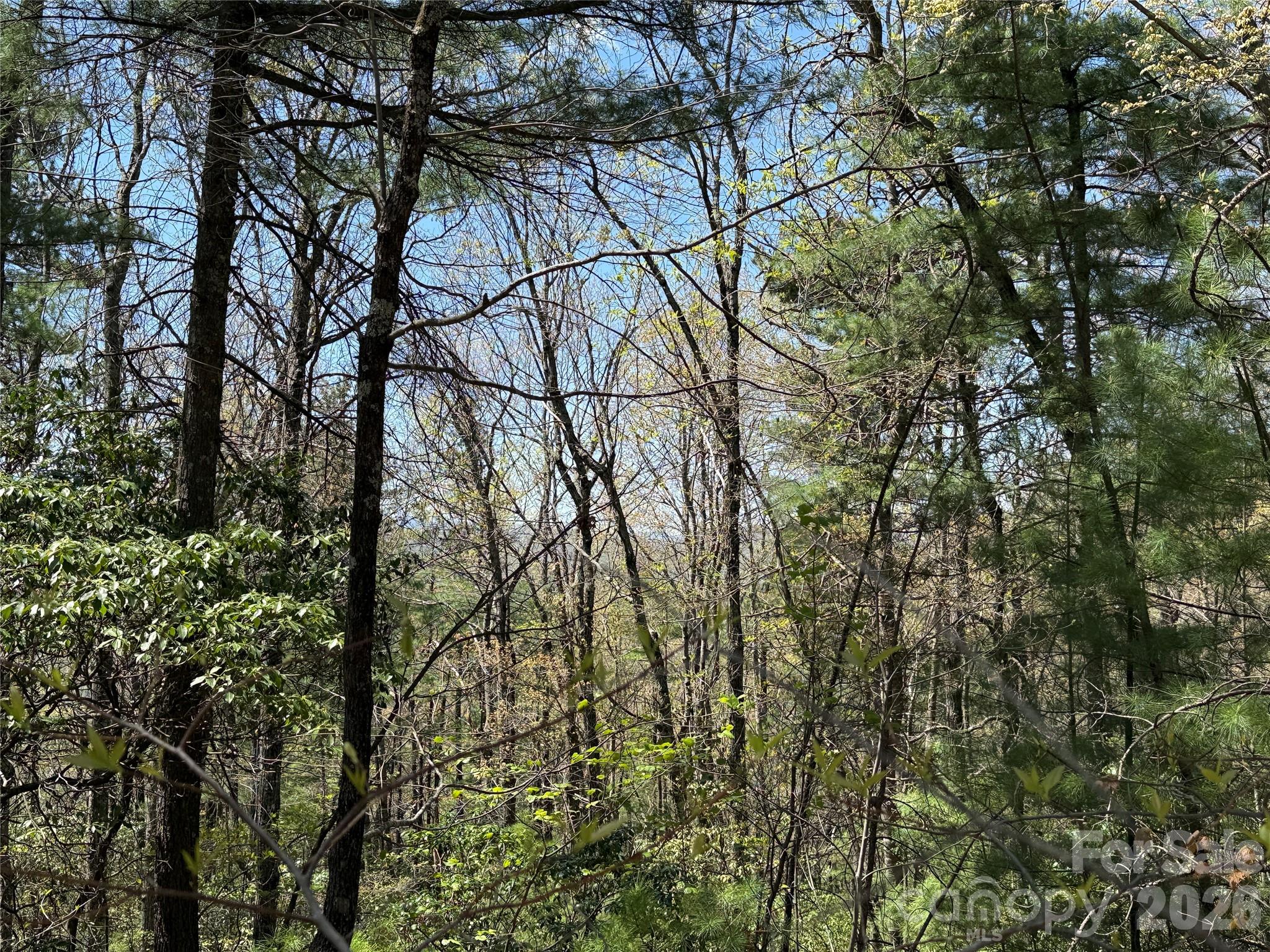 Tbd Casey Mountain Road Purlear NC 28665