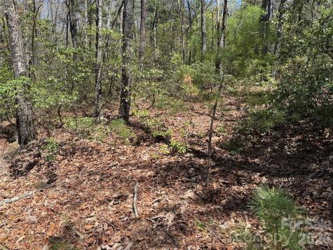 Tbd Casey Mountain Road Purlear NC 28665