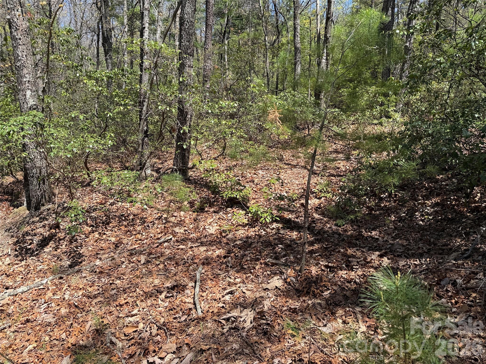 Tbd Casey Mountain Road Purlear NC 28665