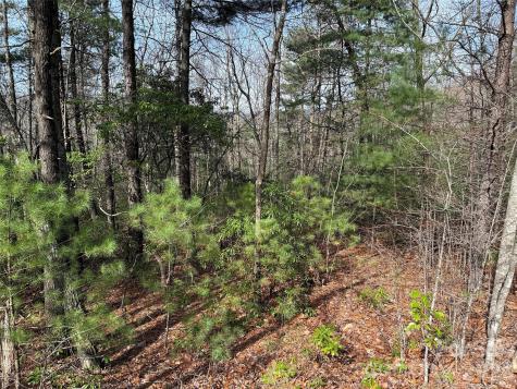 Tbd Casey Mountain Road Purlear NC 28665